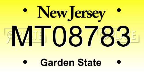 MT08783 New Jersey License Plate