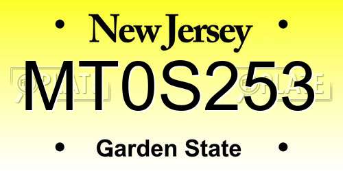 MT0S253 New Jersey License Plate