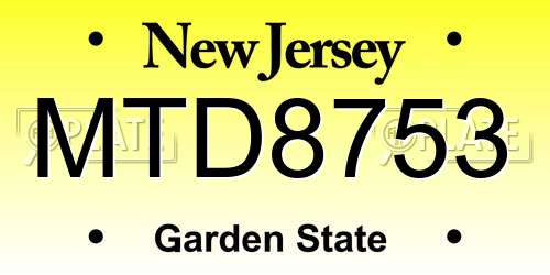 MTD8753 New Jersey License Plate