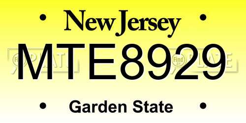 MTE8929 New Jersey License Plate