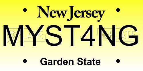 MYST4NG New Jersey License Plate