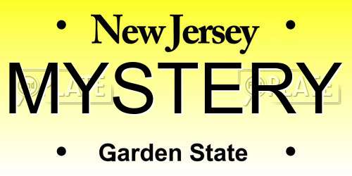 MYSTERY New Jersey License Plate