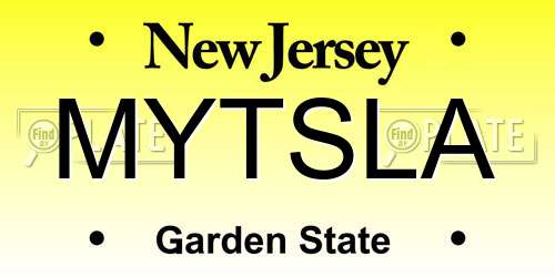 MYTSLA New Jersey License Plate
