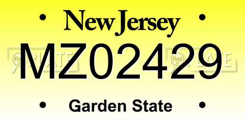 MZ02429 New Jersey License Plate