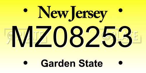 MZ08253 New Jersey License Plate