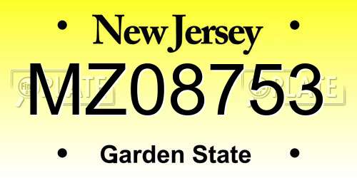 MZ08753 New Jersey License Plate
