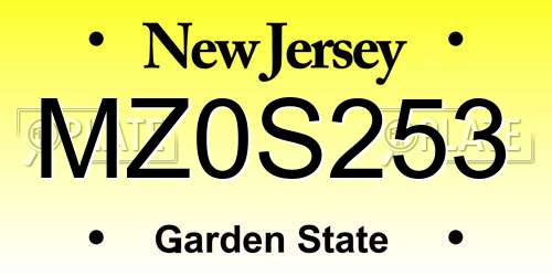 MZ0S253 New Jersey License Plate