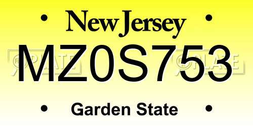 MZ0S753 New Jersey License Plate