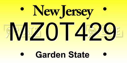 MZ0T429 New Jersey License Plate
