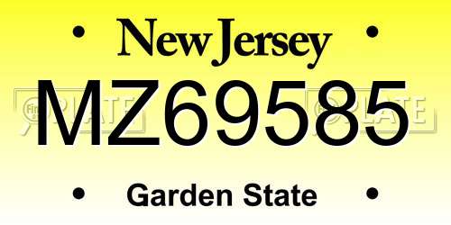 MZ69585 New Jersey License Plate