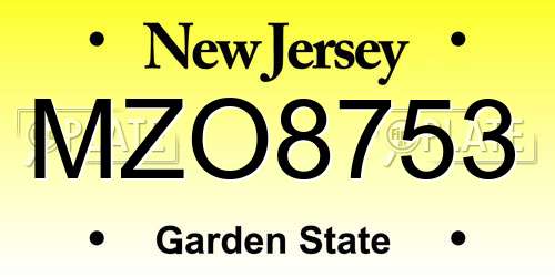 MZO8753 New Jersey License Plate
