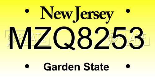 MZQ8253 New Jersey License Plate