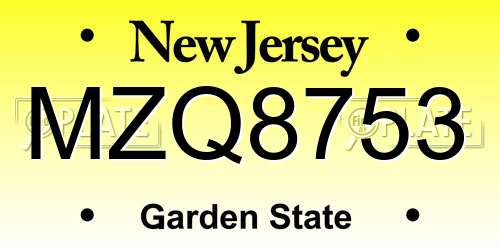 MZQ8753 New Jersey License Plate