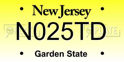 N025TD New Jersey License Plate
