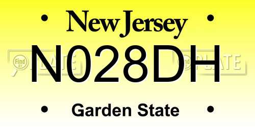 N028DH New Jersey License Plate