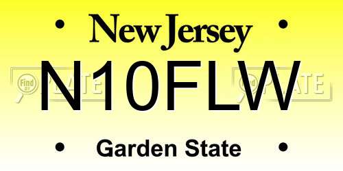 N10FLW New Jersey License Plate