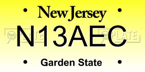 N13AEC New Jersey License Plate