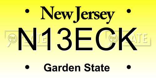 N13ECK New Jersey License Plate
