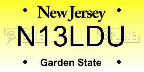 N13LDU New Jersey License Plate