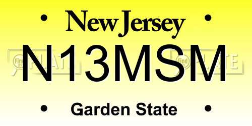 N13MSM New Jersey License Plate
