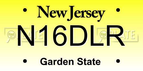 N16DLR New Jersey License Plate