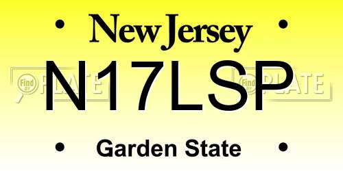 N17LSP New Jersey License Plate
