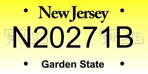 N20271B New Jersey License Plate