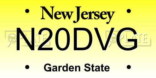N20DVG New Jersey License Plate