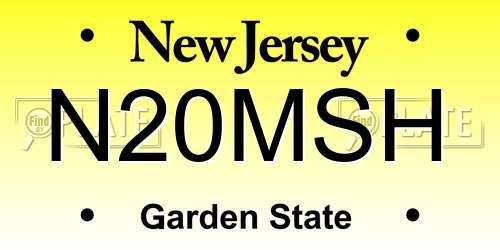 N20MSH New Jersey License Plate