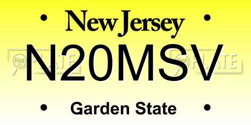 N20MSV New Jersey License Plate