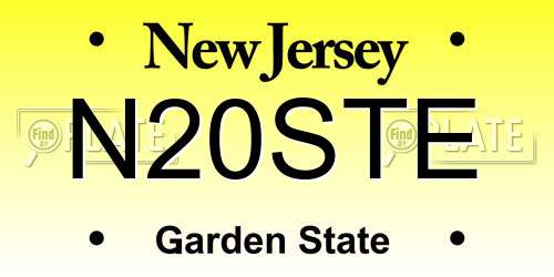 N20STE New Jersey License Plate