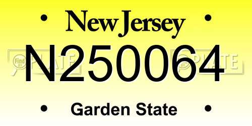N250064 New Jersey License Plate