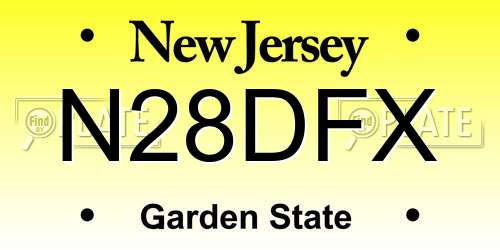 N28DFX New Jersey License Plate