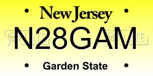 N28GAM New Jersey License Plate