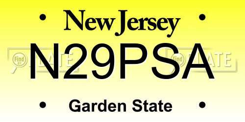 N29PSA New Jersey License Plate