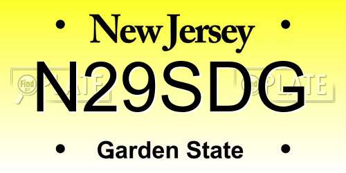 N29SDG New Jersey License Plate