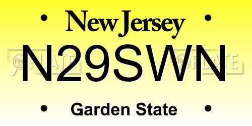 N29SWN New Jersey License Plate