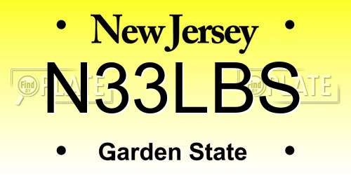 N33LBS New Jersey License Plate