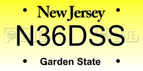N36DSS New Jersey License Plate