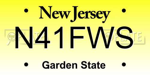 N41FWS New Jersey License Plate
