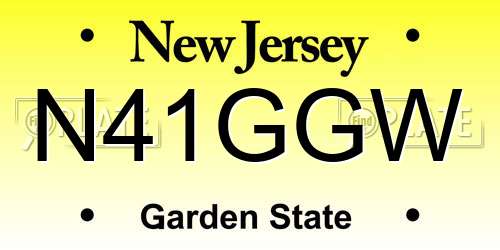 N41GGW New Jersey License Plate