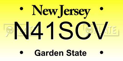 N41SCV New Jersey License Plate