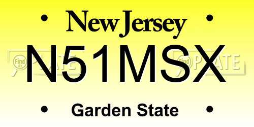 N51MSX New Jersey License Plate