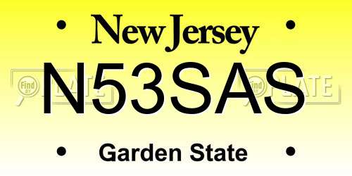 N53SAS New Jersey License Plate