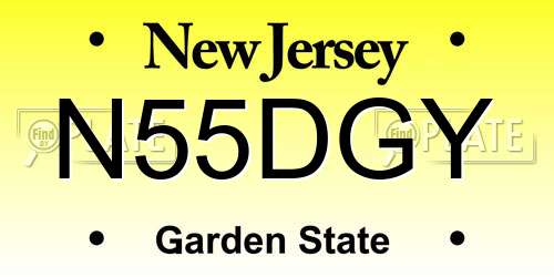 N55DGY New Jersey License Plate