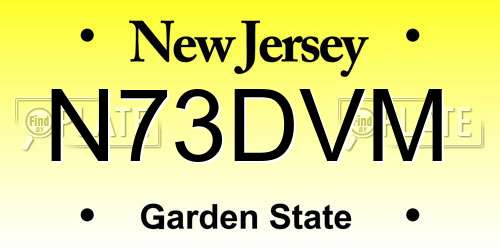 N73DVM New Jersey License Plate