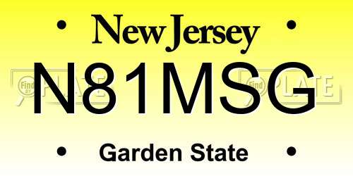 N81MSG New Jersey License Plate