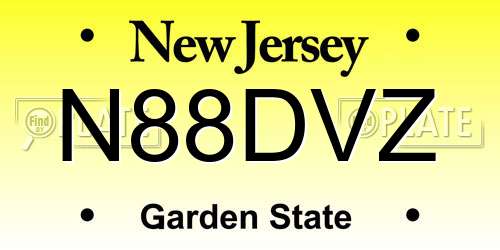 N88DVZ New Jersey License Plate