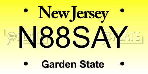N88SAY New Jersey License Plate