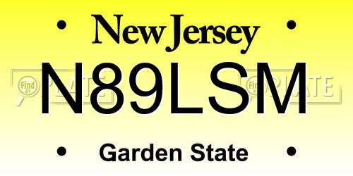 N89LSM New Jersey License Plate